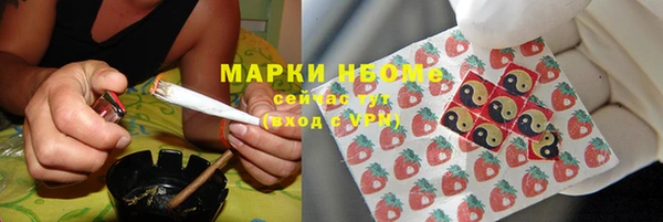 ГАЛЛЮЦИНОГЕННЫЕ ГРИБЫ Строитель