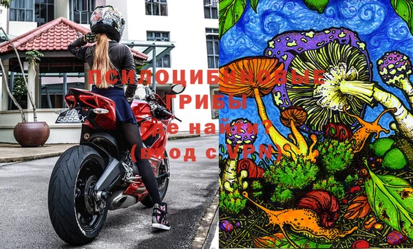 трава Балахна