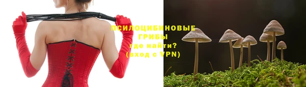 гашик Балабаново