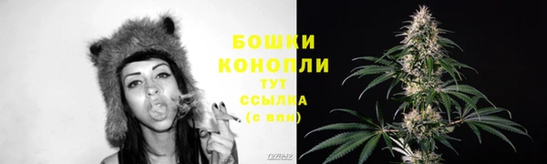 a pvp Белокуриха