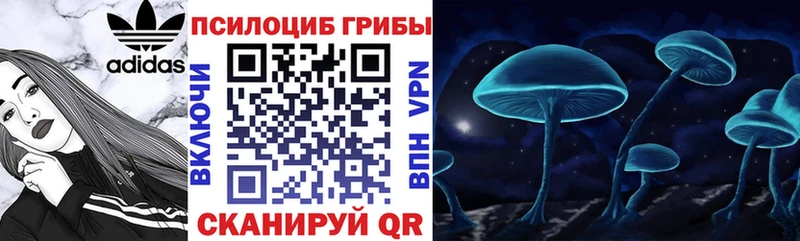 Псилоцибиновые грибы GOLDEN TEACHER  Ливны 